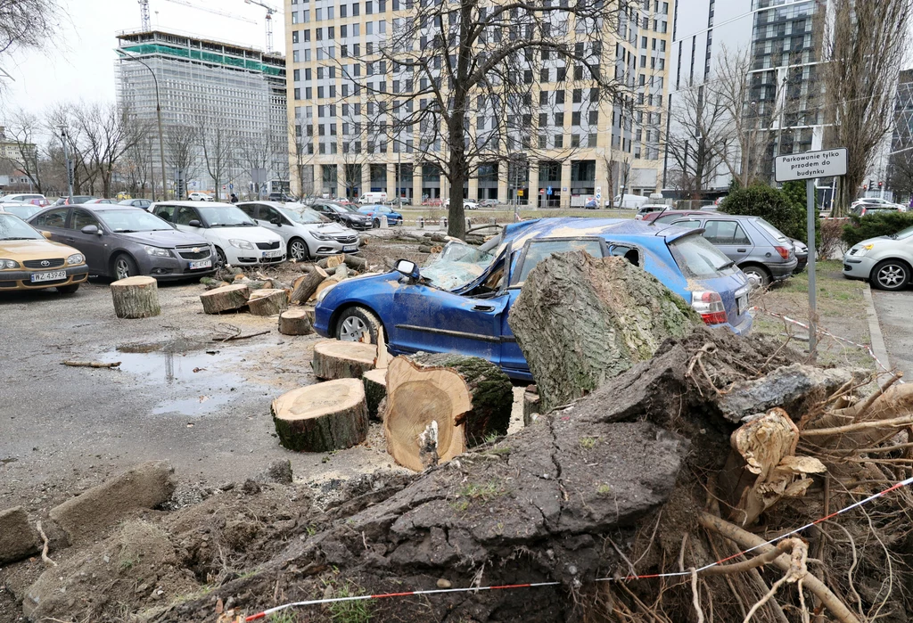 Skutki silnych wiatrów w Warszawie, 17 lutego Skutki silnych wiatrów w Warszawie, 17 lutego