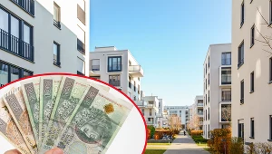 Właściciele domów, mieszkań oraz działek mają czas, by zapłacić podatek od nieruchomości do 15 marca 2022 r. 