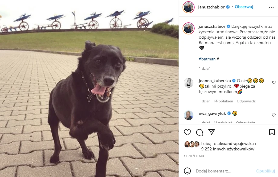 Batman, pies Janusza Chabiora https://www.instagram.com/januszchabior/ Batman, pies Janusza Chabiora https://www.instagram.com/januszchabior/