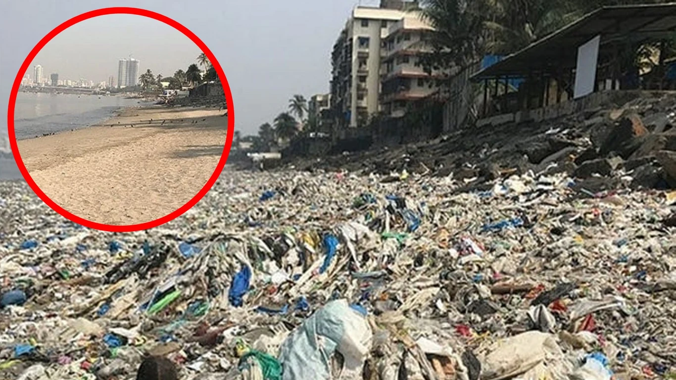 Wielka odmiana plaży w indyjskim Bombaju Wielka odmiana plaży w indyjskim Bombaju