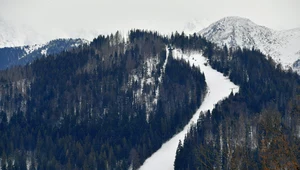Spór o wyciąg narciarski w Tatrzańskim Parku Narodowym. Aktywiści krytykują, dyrektor broni inwestycji