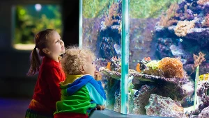 Za południową granicą stolicy można zbudować nawet... oceanarium