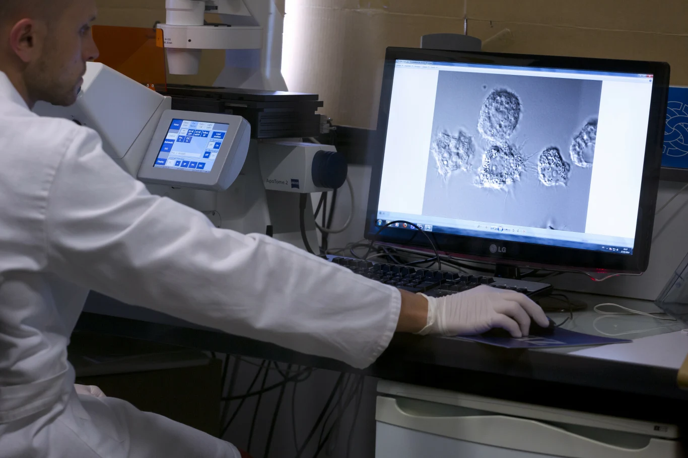 Pitowirus sprzed 30 tys. lat jest jednym z największych znanych nauce wirusów Pitowirus sprzed 30 tys. lat jest jednym z największych znanych nauce wirusów