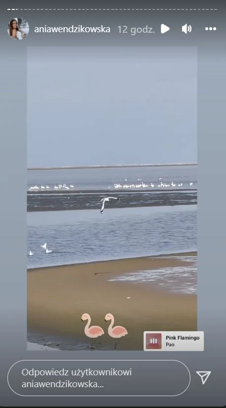 Wendzikowska w Afryce Wendzikowska w Afryce