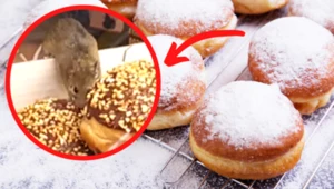 Mysz je pączki w jednym z marketów. Nagranie jest hitem internetu!