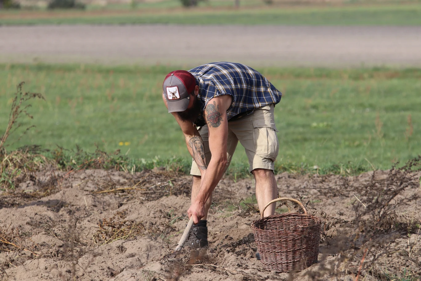 Farma / Polsat Farma / Polsat