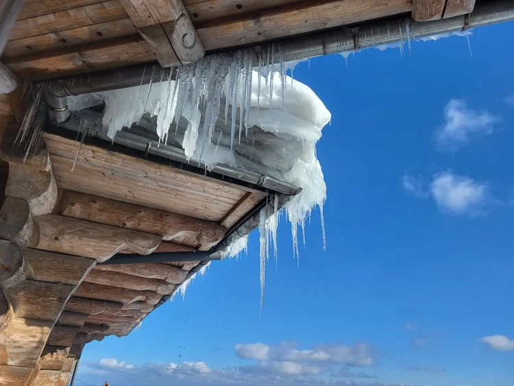 Zdjęcie wykonane Samsungiem Galaxy S21FE 5G