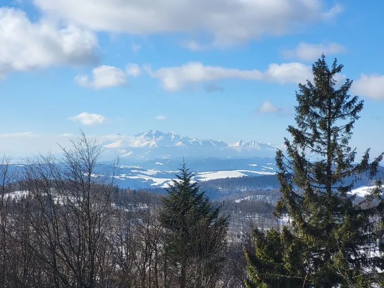 Zdjęcie wykonane Samsungiem Galaxy S21FE 5G