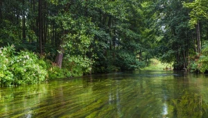 Zdjęcie ilustracyjne. Mazury pod większa kontrolą Inspekcji Ochrony Środowiska