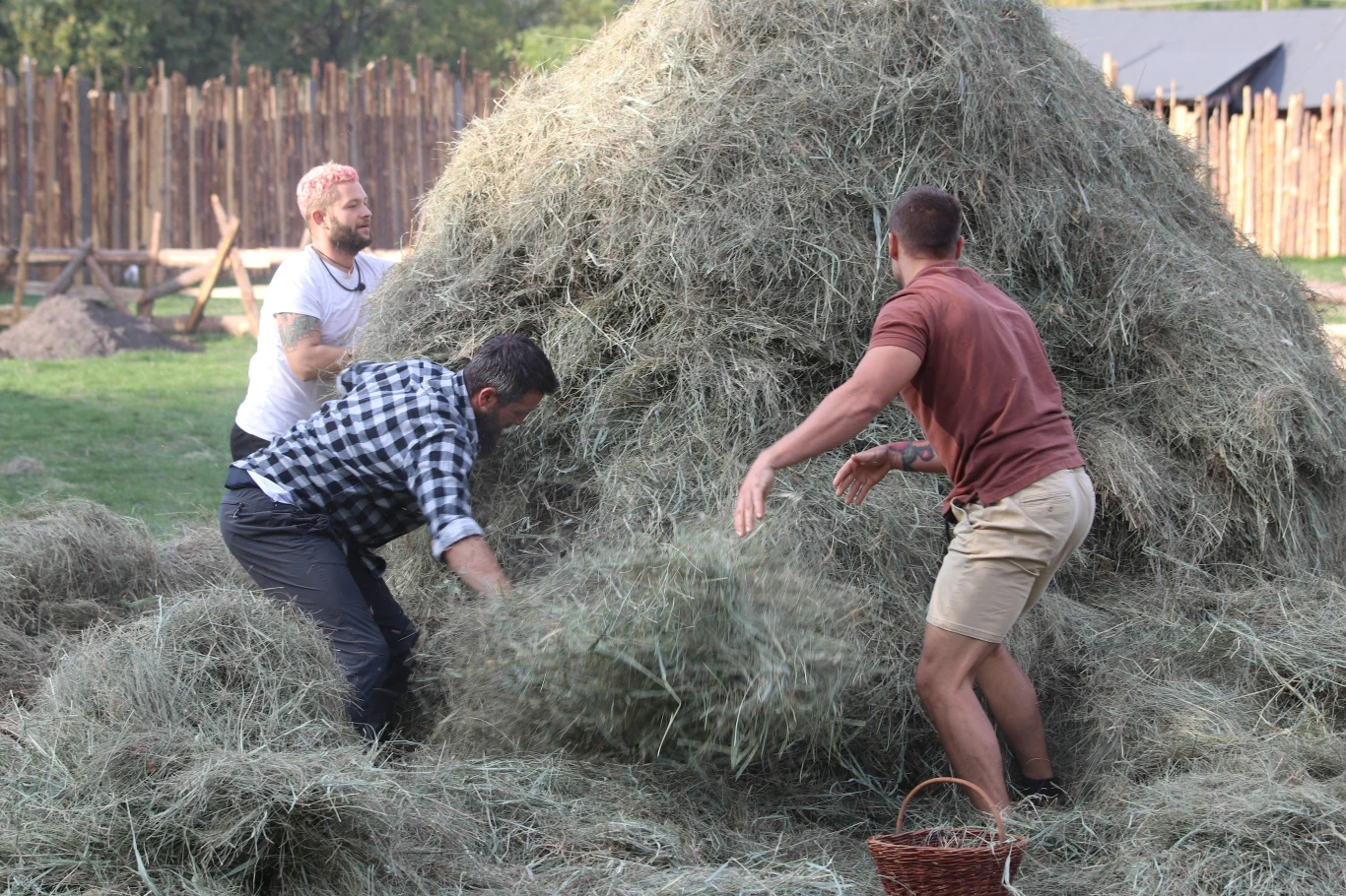 Program "Farma" Program "Farma"