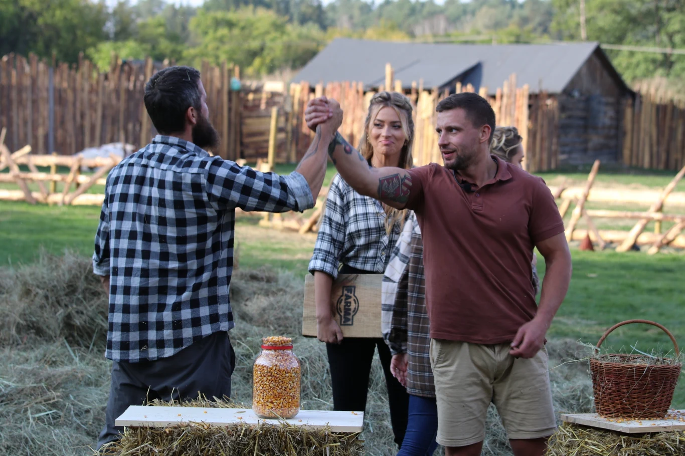 Program "Farma" Program "Farma"