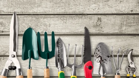 Narzędzia i akcesoria ogrodowe za darmo w Kauflandzie!