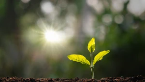 Banki powinny bardziej zaangażować się w ekologię.