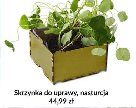 Skrzynka