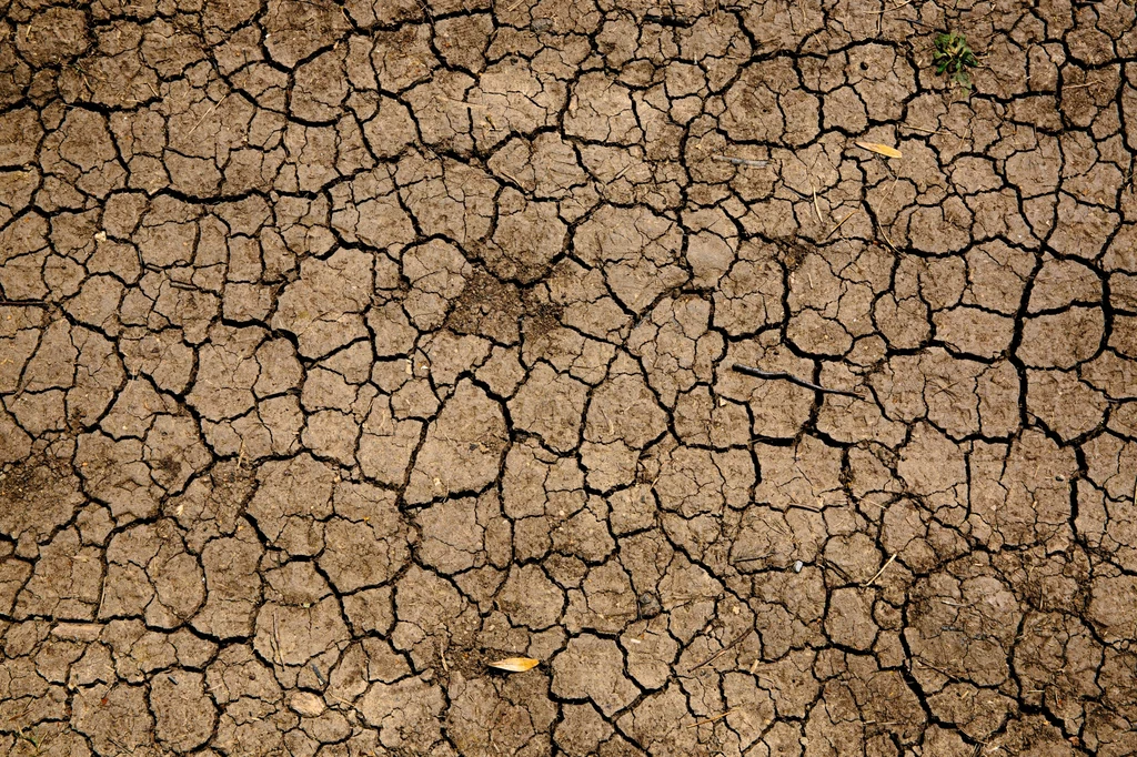 Wysuszona gleba (zdjęcie ilustracyjne).