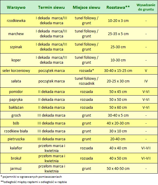 Terminarz siewu warzyw w marcu. Zdjęcie poradnikogrodniczy.pl