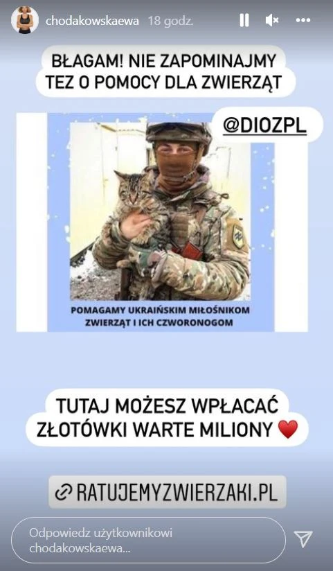 Ewa Chodakowska zaapelowała o pomoc zwierzętom Ewa Chodakowska zaapelowała o pomoc zwierzętom