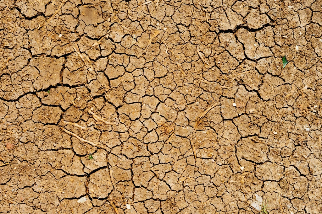 Wzmocnienie susz jest jednym ze skutków zmian klimatu (zdjęcie ilustracyjne).