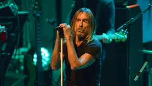 Iggy Pop bojkotuje popularny rosyjski festiwal. Fani nie kryją żalu