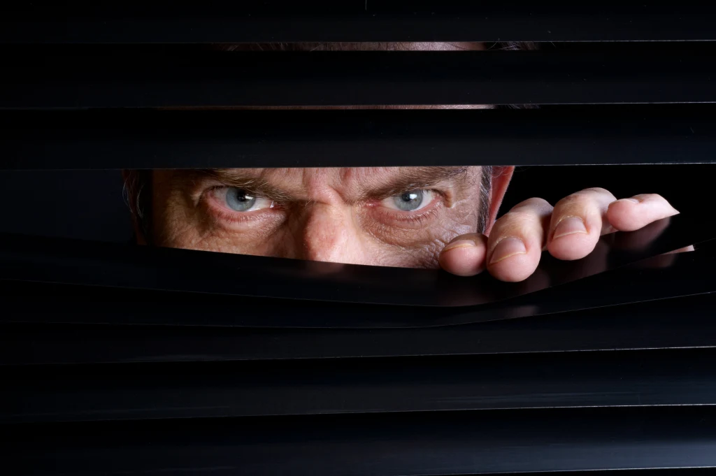 Osoba z osobowością paranoiczną jest wycofana z kontaktów społecznych, nadmiernie podejrzliwa i wykazuje chłód emocjonalny