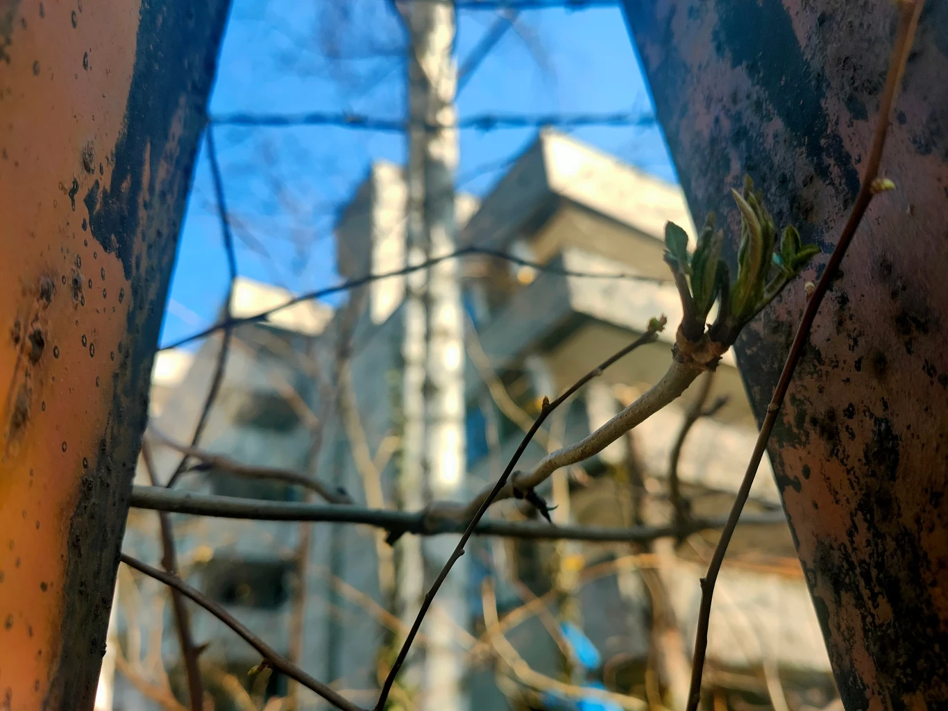 Nadchodzi wiosna, a wraz z nią nowy rozdział historii budynków przy Sobieskiego 100