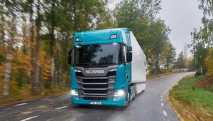 Volvo, Mercedes, DAF i Scania wstrzymują sprzedaż swoich ciężarówek w Rosji