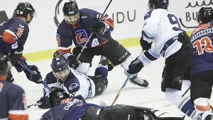 Hokeiści KH Energii Toruń (w ciemnych strojach)