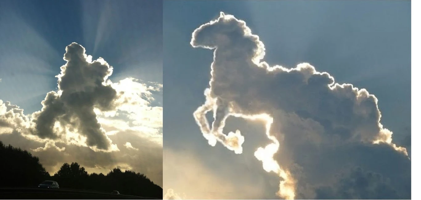 Ludzie od zawsze dostrzegają w chmurach zarysy zwierząt, przedmiotów czy nawet ludzi - to tzw. pareidolia Ludzie od zawsze dostrzegają w chmurach zarysy zwierząt, przedmiotów czy nawet ludzi - to tzw. pareidolia