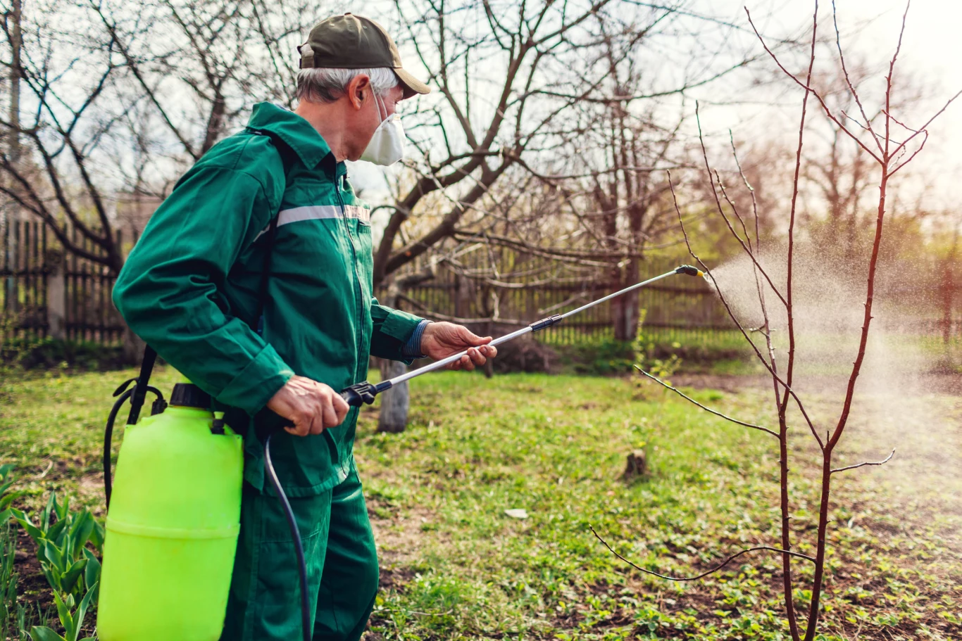 Z drożdży można sporządzić także oprysk Z drożdży można sporządzić także oprysk