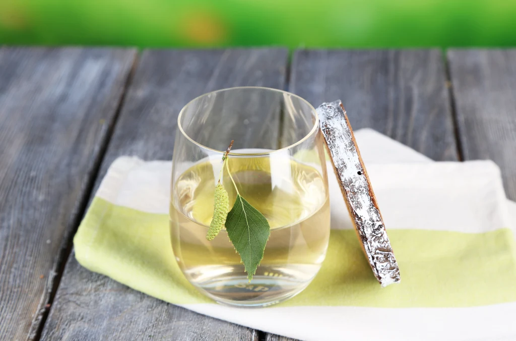 Sok z brzozy wzmacnia odporność, przeciwdziała anemii i oczyszcza organizm z toksyn. Jest wsparciem dla serca i wątroby Sok z brzozy wzmacnia odporność, przeciwdziała anemii i oczyszcza organizm z toksyn. Jest wsparciem dla serca i wątroby