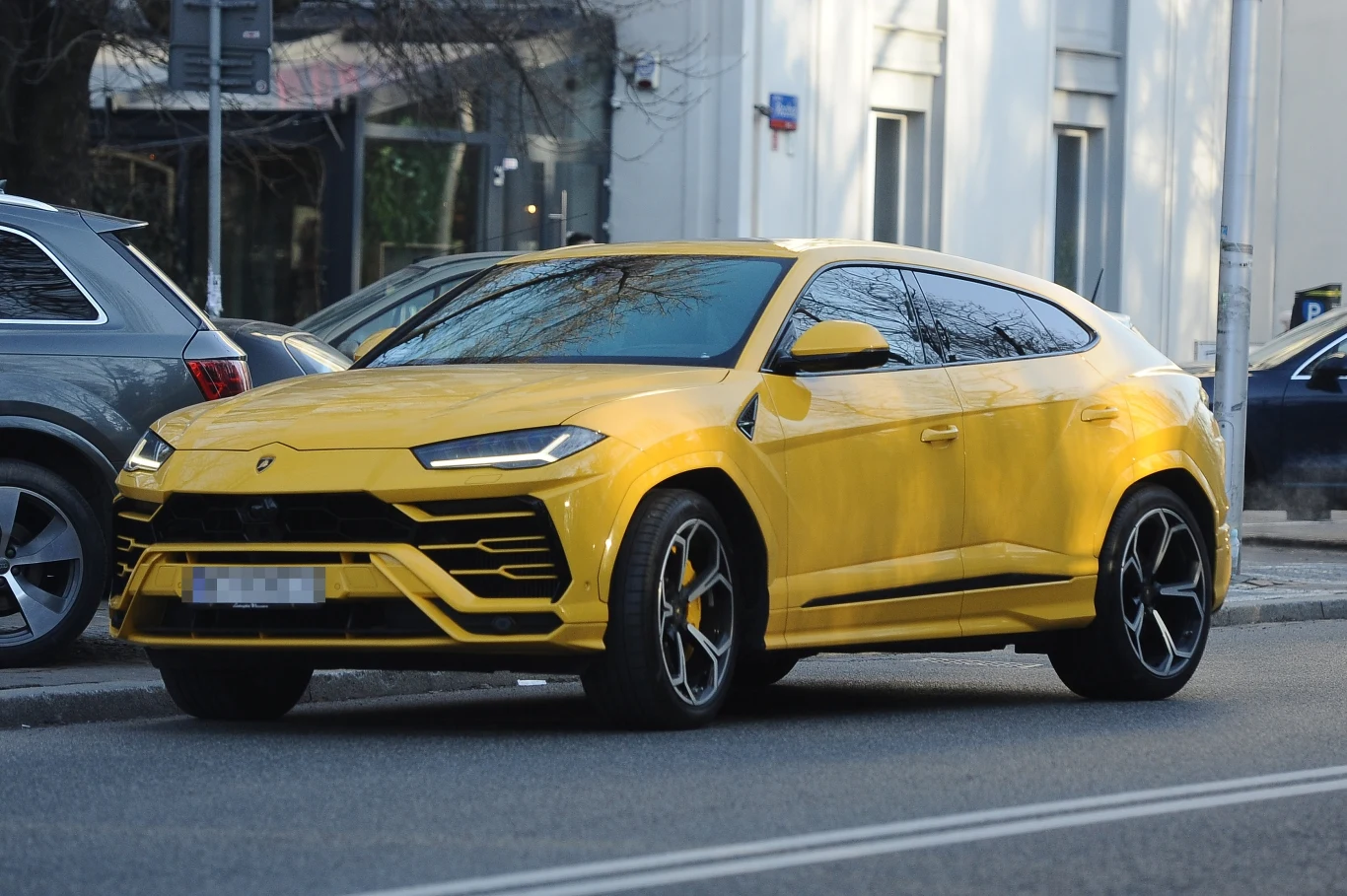 Kuba Wojewódzki Kuba Wojewódzki