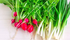 Młoda zielenina hodowana pod folią zawiera mniej witamin niż ta, która urosła w naturalnym pełnym nasłonecznieniu 