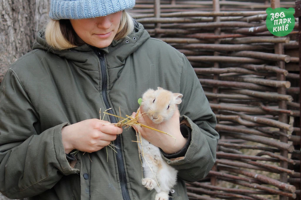 W Kijowie, mimo trwającej wojny, wiele osób nadal zajmuje się zwierzętami. Pracownicy mieszkają na terenie zoo, część z nich zabrała ze sobą rodziny