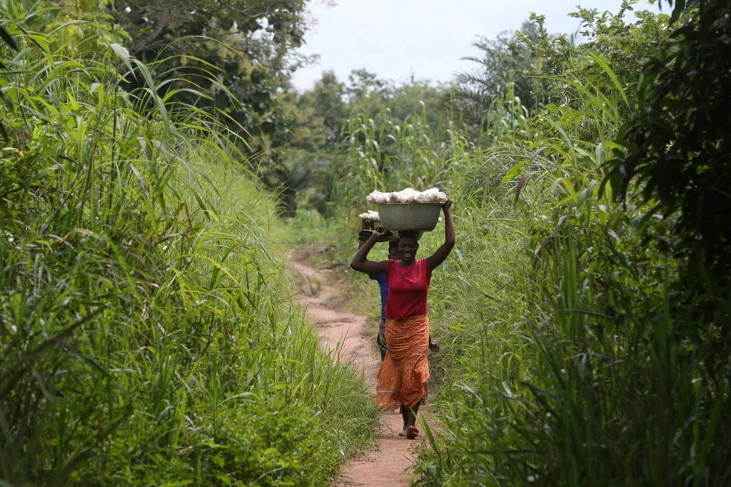 Kobieta niosąca na głowie pojemnik z maniokiem (Togo).