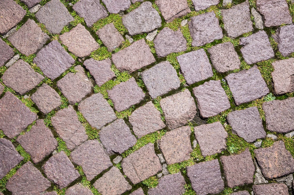 Mech na kostce brukowej często spędza sen z powiek posiadaczom domów