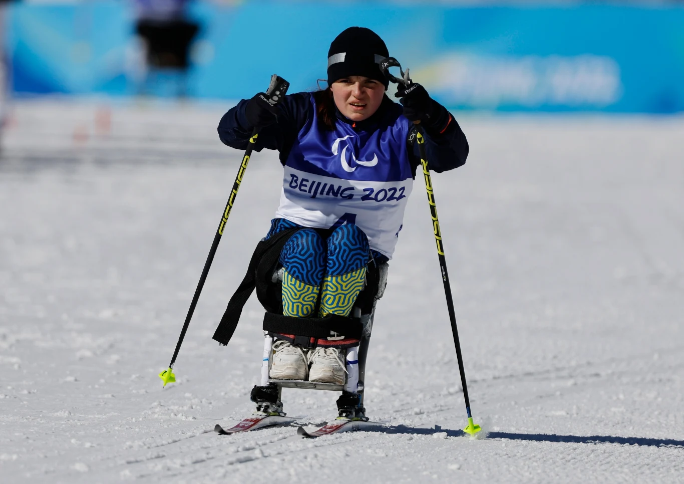 Anastasiia Laletina Anastasiia Laletina