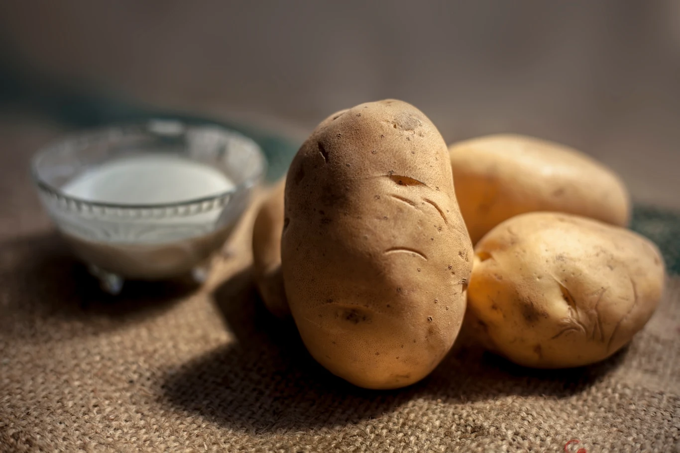 Skrobia ziemniaczana to jeden ze skutecznych wabików na rybiki cukrowe.