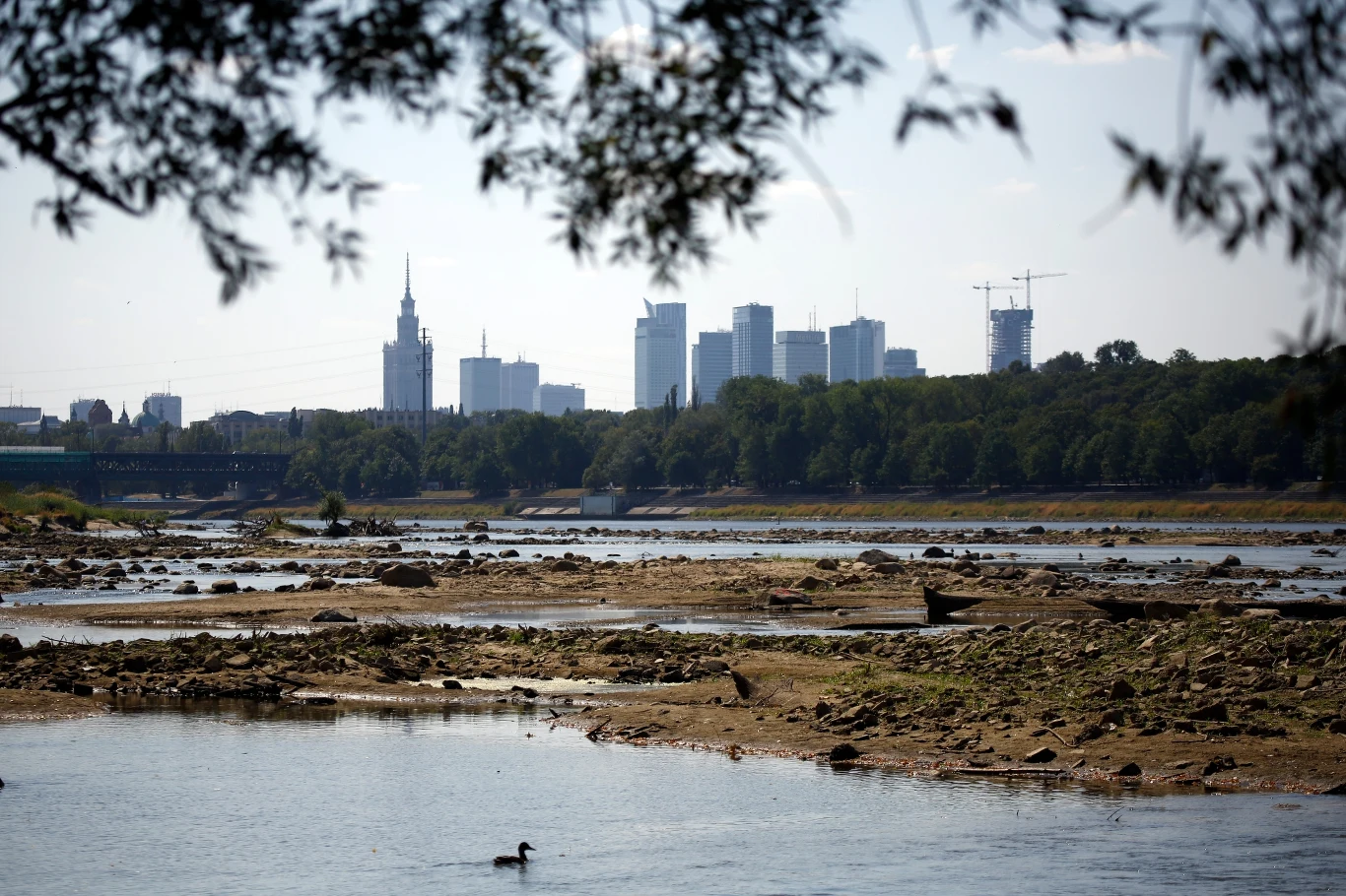Globalne ocieplenie może dotknąć również Polskę - alarmują eksperci. Musimy przygotować się na susze i braki wody