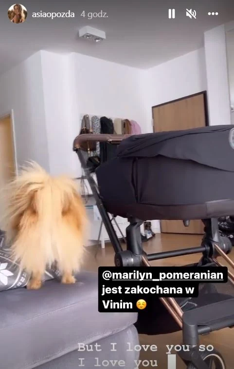 Joanna Opozda zawsze ma przy sobie ukochanego, czworonożnego przyjaciela