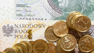 Według prognoz złoty ma gigantyczną przestrzeń do umocnienia