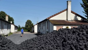 Planujesz zakup węgla? Ruszył sezon zakupowy, tak kształtują się ceny