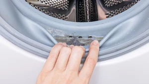 Jak wyczyścić pleśń z pralki?