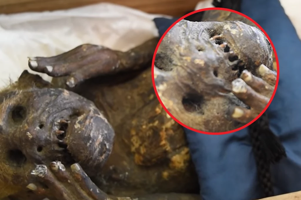 Mumia obecnie jest badana przez naukowców