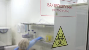 Laboratorium we Lwowie; zdj. ilustracyjne