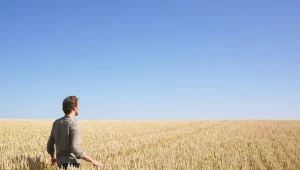 Ukraina przewiduje zabezpieczenie żywnością 1 miliarda ludności świata