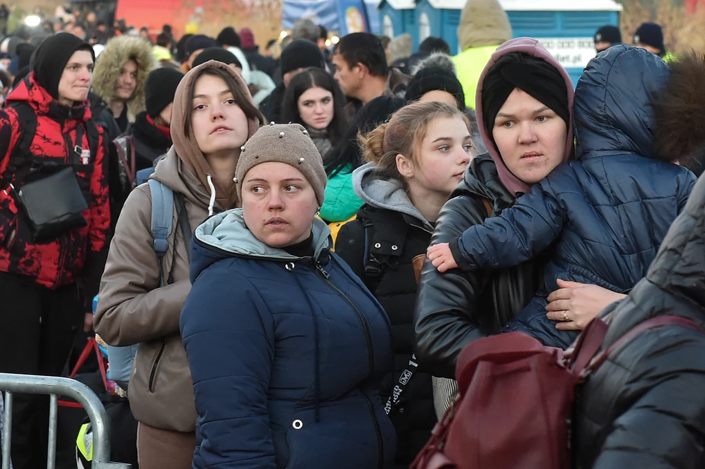 Wielu uchodźców z Ukrainy chce pracować w Polsce w swoim wyuczonym zawodzie Wielu uchodźców z Ukrainy chce pracować w Polsce w swoim wyuczonym zawodzie