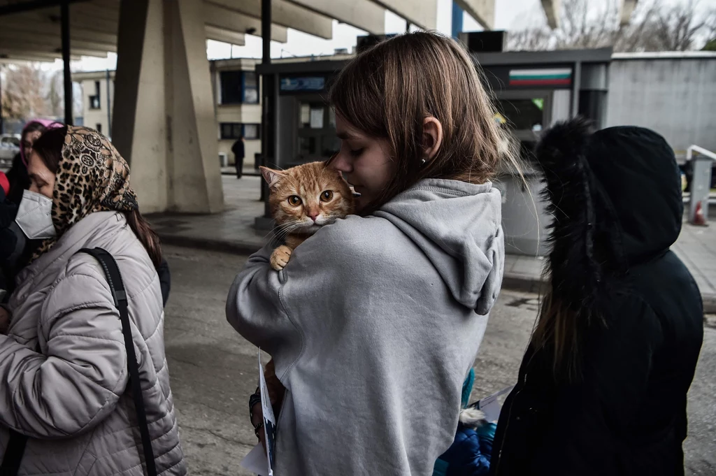 Zwierzęta to częsty widok na przejściach granicznych z Ukrainą. Niektórzy uchodźcy całą drogę po prostu trzymają je na rękach