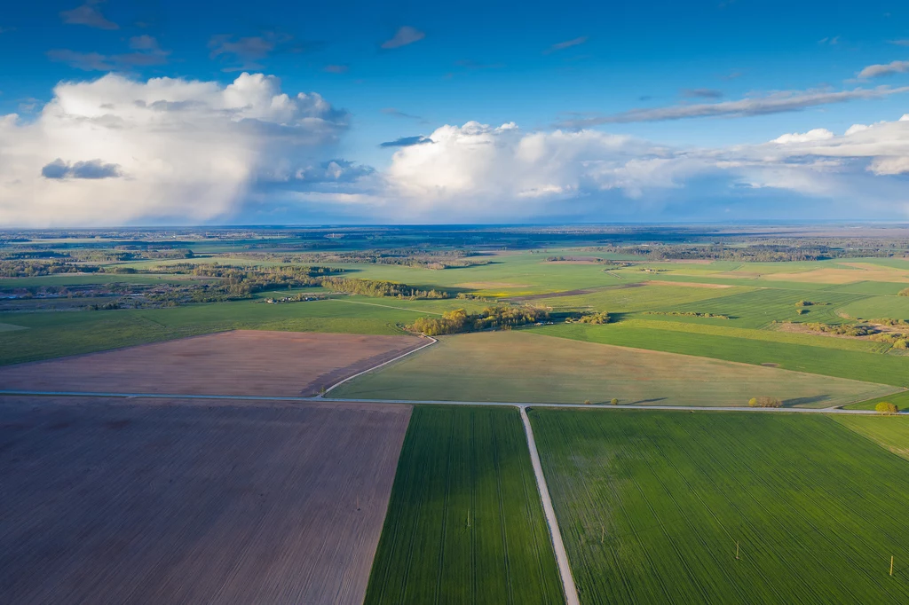 Rzeki w Polsce płyną tylko w jednym kierunku - dlaczego?