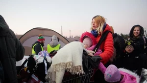 Granicę polsko-ukraińską przekraczają głównie kobiety z dziećmi. To one mogą paść ofiarą oszustów 