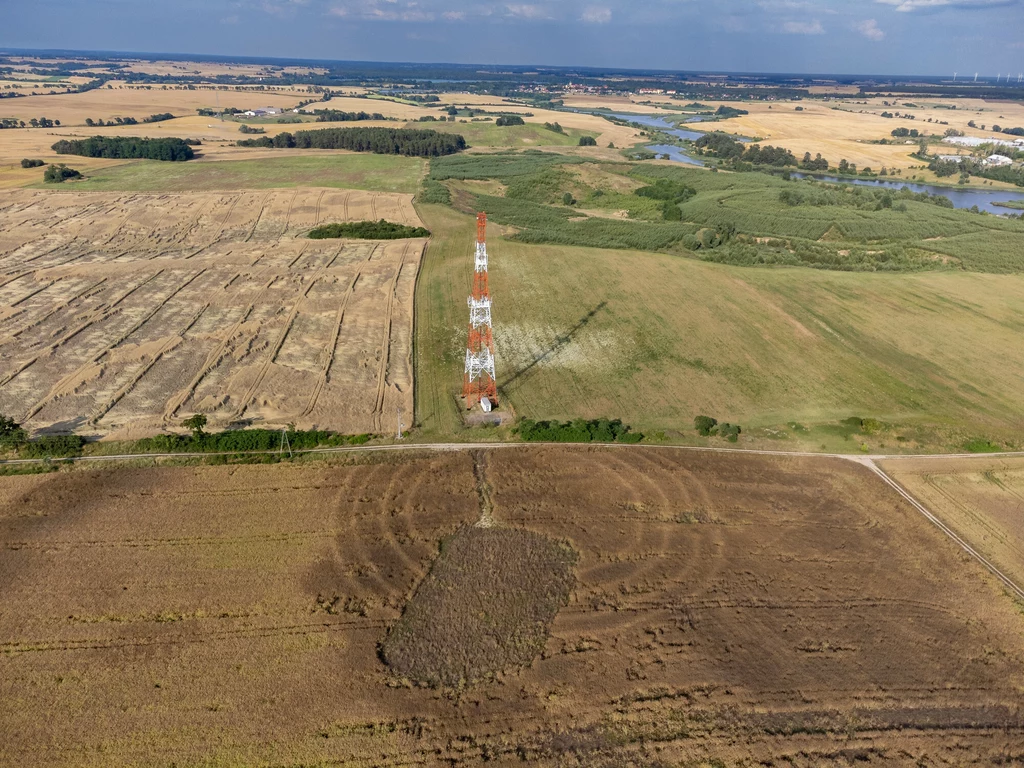 Kręgi w zbożu koło Nowego Objezierza i fragment rekonstrukcji neolitycznego rondela